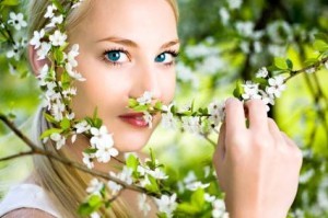 1503957_236859929832884_506918171_n