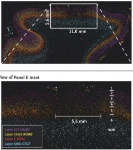 10001453_238754859643391_1041790209_n