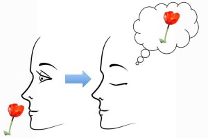 10173807_242465899272287_9149452450622668899_n