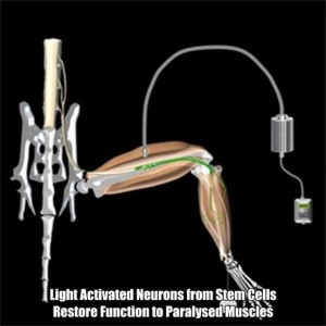 10177923_240801996105344_498667859_n