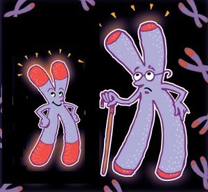 10247474_242003469318530_307084069946890397_n