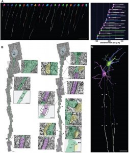 10151856_244609742391236_89843382036977421_n