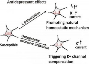 antidepressant-effects-social-stress