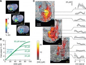 10277743_248123398706537_6245067329274868608_n