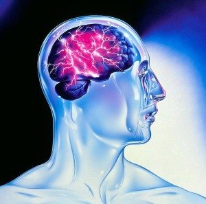 1450713_248030352049175_5270005109119279421_n