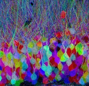 021E6912000004B0-3054495-image-a-21_1429907907705