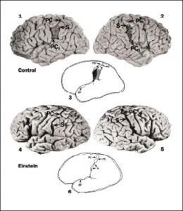 1 gEpQV45q4Xsb38xkOwuuqA