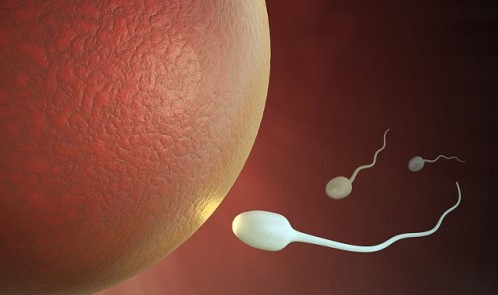 12CDA9C5000005DC-3030433-image-a-2_1428499308406