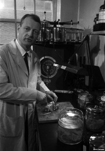 _82399979_99987815_harvey_getty624