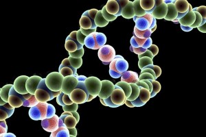 DNA-Molecule
