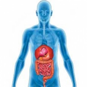 fce4877c2173bfb8a46bb9ba6d2a30ea_XL