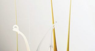 رمزگشایی از مغز