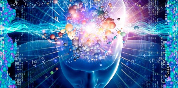 1795209_224858381033039_539968970_o