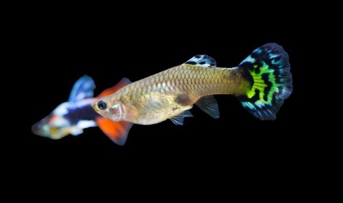 CFempM0W8AACxQQ.jpg large