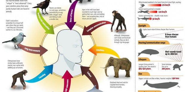 humans-vs-animals