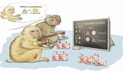 predictive-gaming-monkey