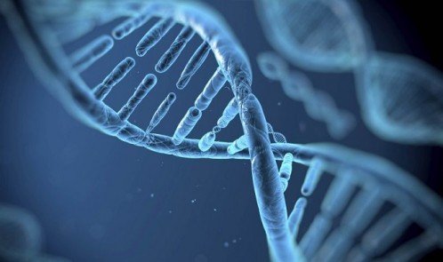 1402505313684.cached