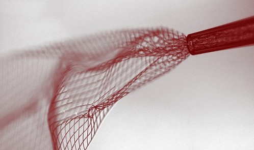 2973357900000578-0-Scientists_have_engineered_a_flexible_electronic_mesh_pictured_t-a-78_1433775535582