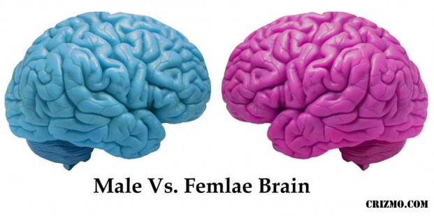 10926836_333448230174053_6685546813588248597_o