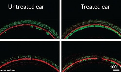 2A5C43ED00000578-3153860-image-a-15_1436404059189