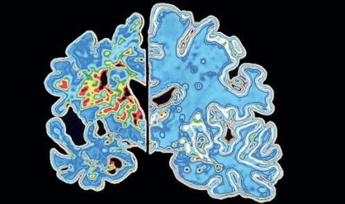 9a0635db-a7a7-41ee-a33d-da4a561cb823.img