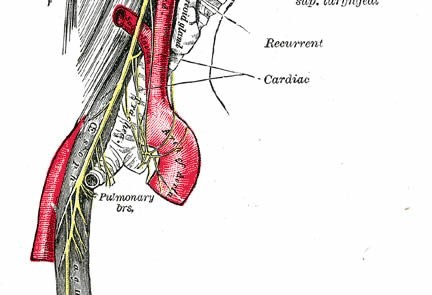 gut-parkinsons-public
