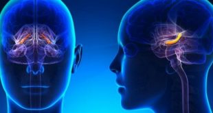 علت عود افسردگی