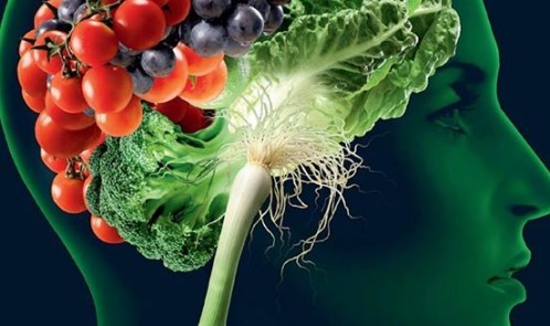 ۱۰۲۹۴۲۴۶_۲۵۶۵۹۲۱۱۱۱۹۲۹۹۹_۸۶۶۲۹۸۸۲۳۴۷۶۱۸۵۶۱۸۷_n