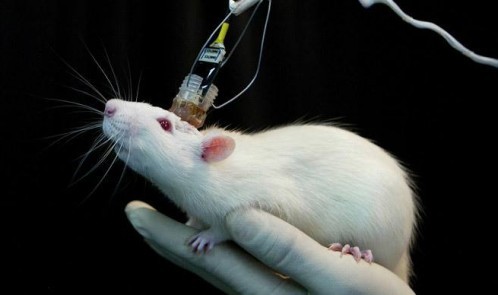 ۱۰۴۰۴۳۹۹_۲۵۷۳۲۱۷۲۴۴۵۳۳۷۱_۶۴۲۵۵۲۶۹۱۸۹۴۸۷۱۲۳۲۸_n