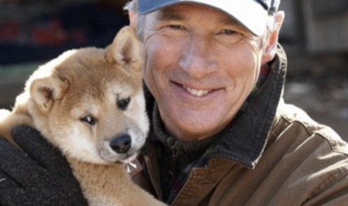 ۲BA018E900000578-3208963-image-m-4_1440425509890