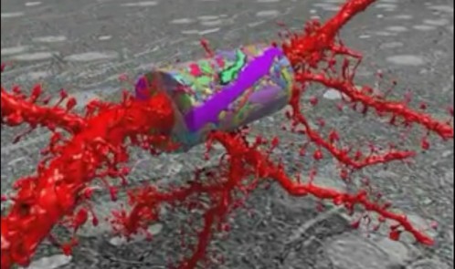 brain-imaging-tool-nanoscale-resolution-2