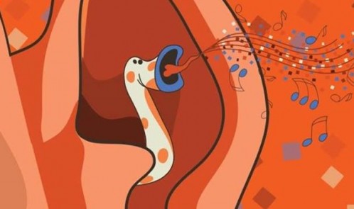 10968550_346145462237663_7306531176617263911_n