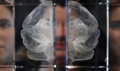 slide_217300_817811_free