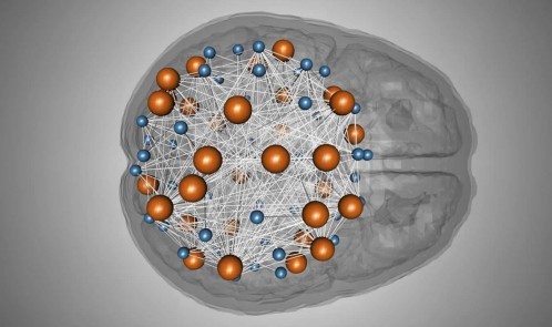 intelligence-network-genetics