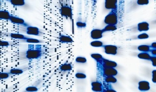 _۸۸۴۲۱۵۷۱_cc4087b8-767c-4db6-b521-34f07f2ccd3a