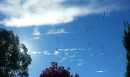 Image processed by CodeCarvings Piczard ### FREE Community Edition ### on 2016-05-30 13:18:37Z | http://piczard.com | http://codecarvings.com