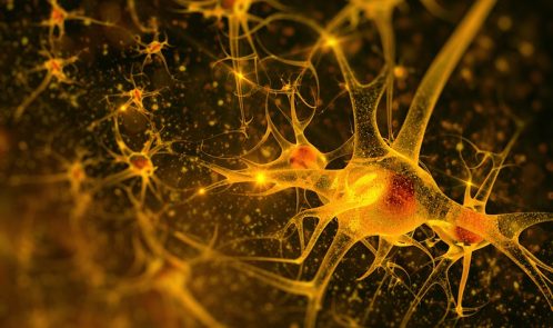 neurons-illustration