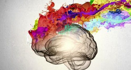watercolor brain_10af0eaa97370b3d057de0610f6d0e1f