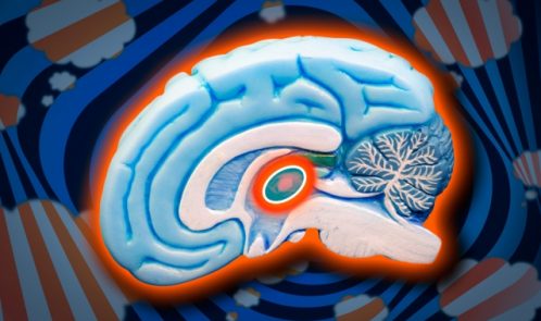 MIT-AttentionDeficit_2