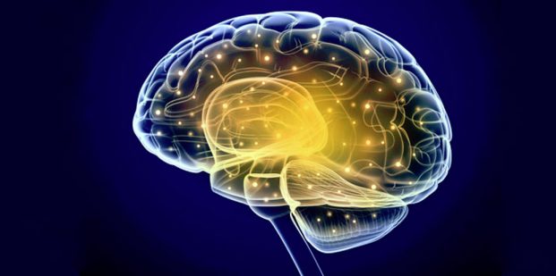brain-img