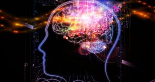 دوره آموزشی اپتوژنتیک و تصویربرداری شبکه عصبی