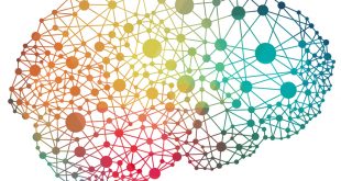 دوره آموزشی مبانی علوم اعصاب و دانش مغز