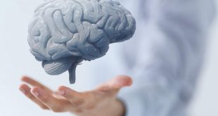 دوره آموزشی مبانی علوم اعصاب و دانش مغز