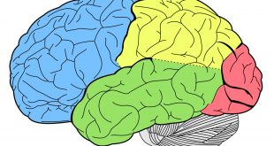 اسکیزوفرنی و اختلال دو قطب