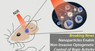 درمان بیماری‌های مغزی با استفاده از روش اپتوژنتیک