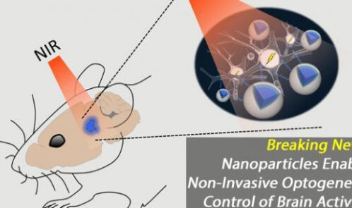 درمان بیماری‌های مغزی با استفاده از روش اپتوژنتیک