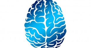 تقویت حافظه