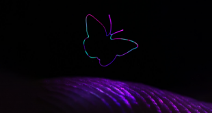 فهم نحوه‌ی شکل گیری خاطرات در مغز