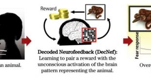 درمان فوبیا