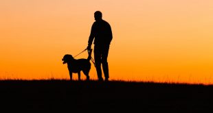 فقدان اعضا خانواده